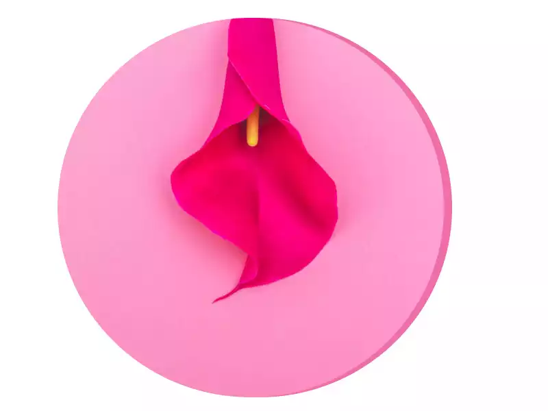 لابیاپلاستی در قزوین